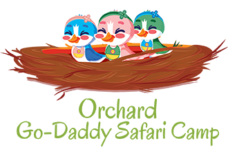 Orchard Go-Daddy Safari Camp Logo